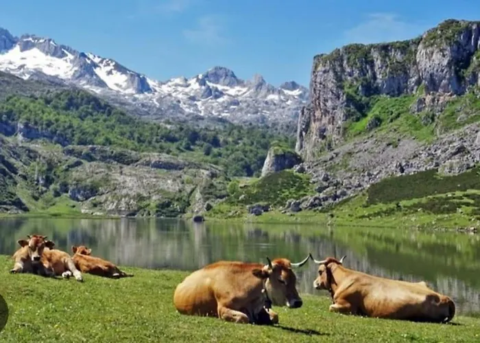 Estela, Muy Cerca De Apartment *